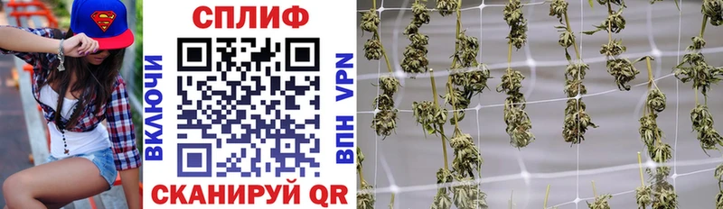 Шишки марихуана индика  кракен как войти  Электрогорск  сколько стоит 